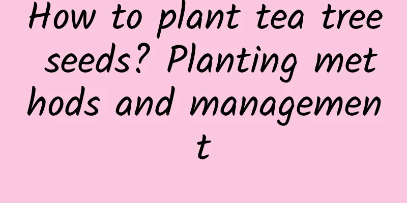 How to plant tea tree seeds? Planting methods and management