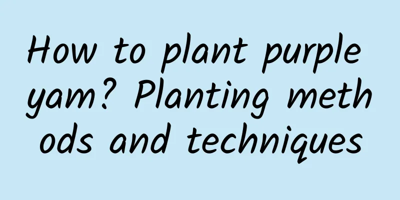 How to plant purple yam? Planting methods and techniques