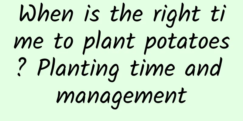 When is the right time to plant potatoes? Planting time and management