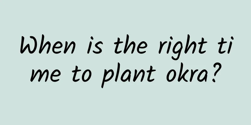 When is the right time to plant okra?