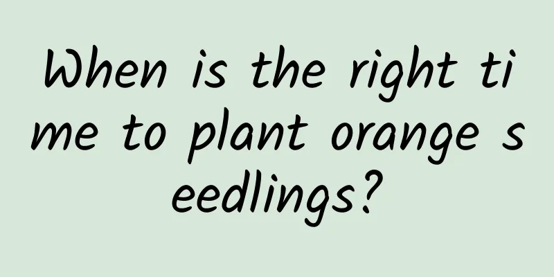 When is the right time to plant orange seedlings?