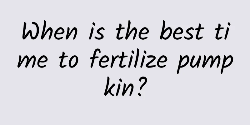 When is the best time to fertilize pumpkin?