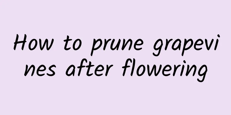 How to prune grapevines after flowering