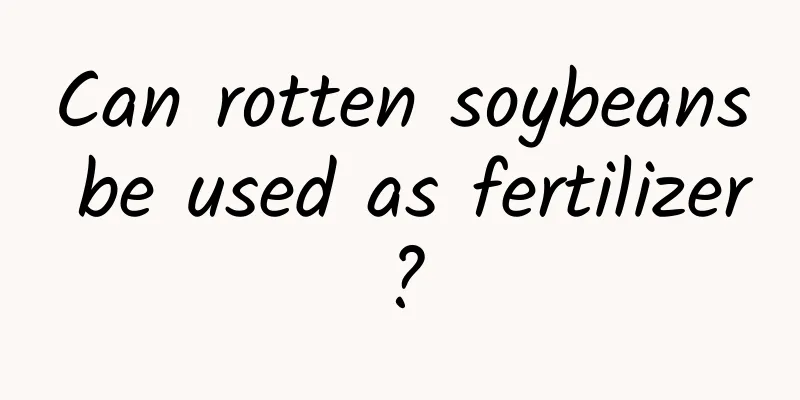 Can rotten soybeans be used as fertilizer?