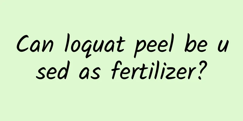 Can loquat peel be used as fertilizer?