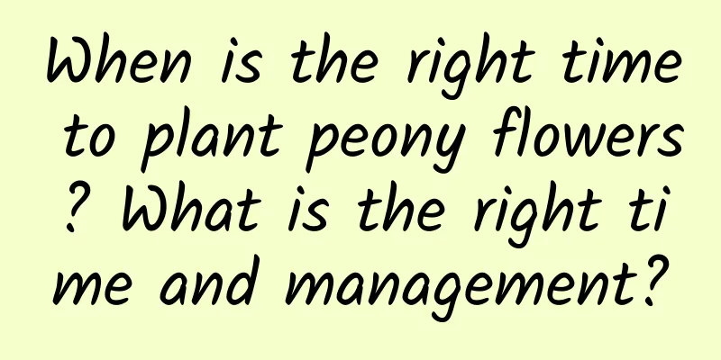 When is the right time to plant peony flowers? What is the right time and management?