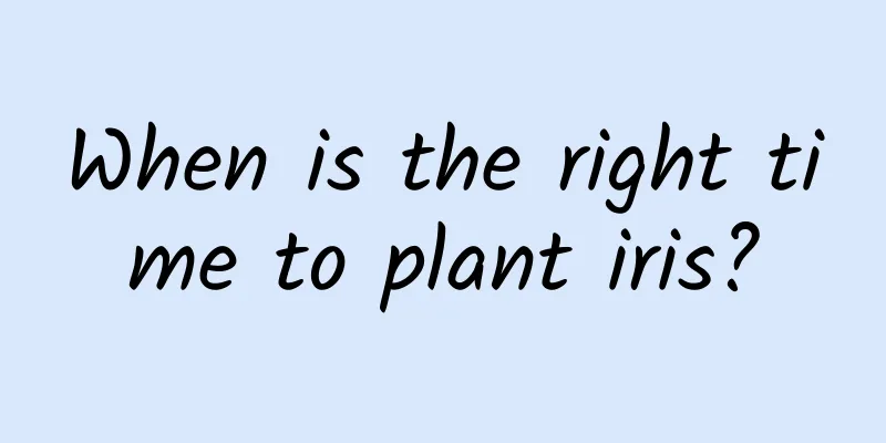When is the right time to plant iris?