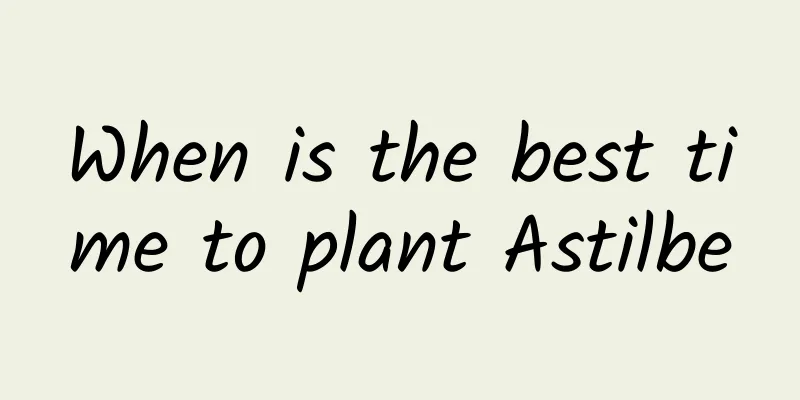 When is the best time to plant Astilbe