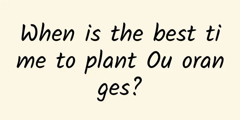 When is the best time to plant Ou oranges?