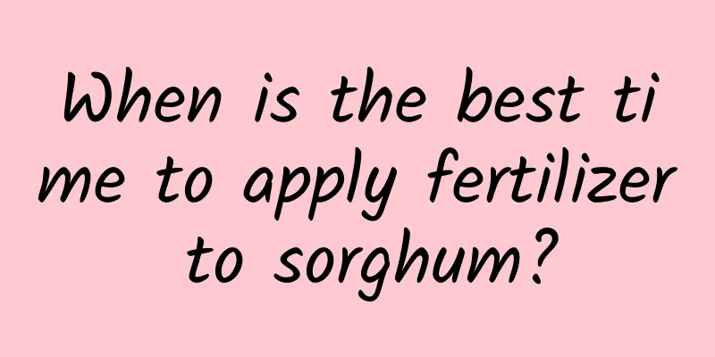 When is the best time to apply fertilizer to sorghum?