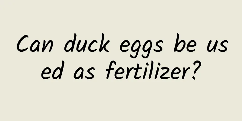 Can duck eggs be used as fertilizer?