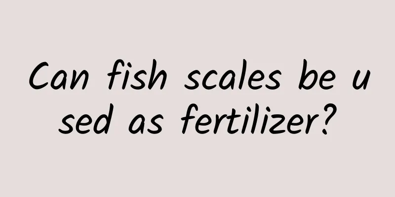 Can fish scales be used as fertilizer?