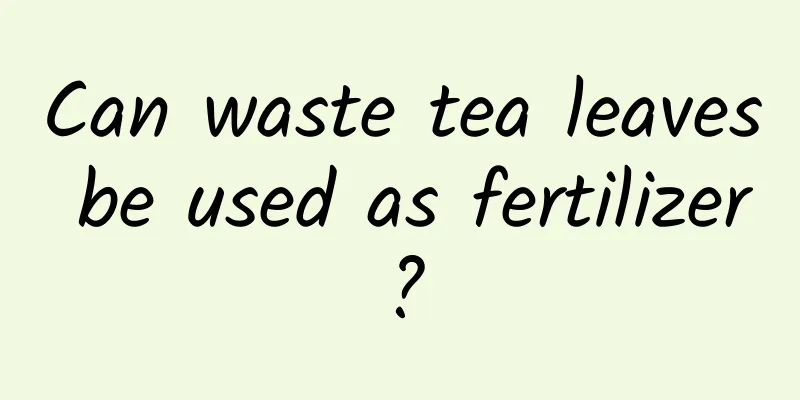 Can waste tea leaves be used as fertilizer?