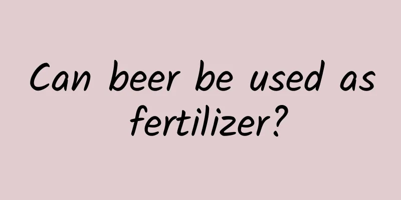Can beer be used as fertilizer?
