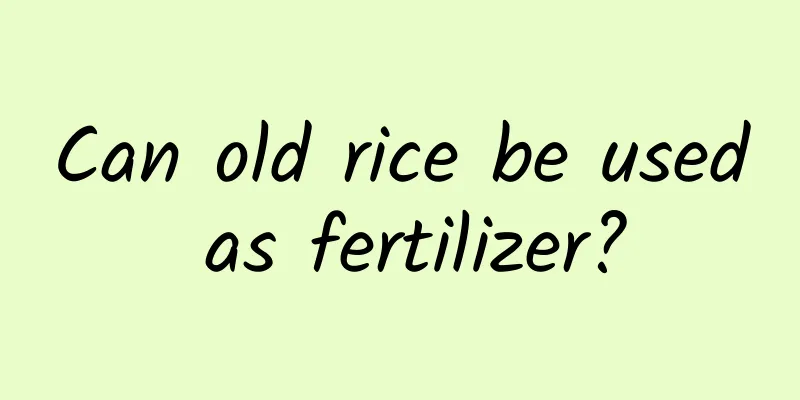 Can old rice be used as fertilizer?