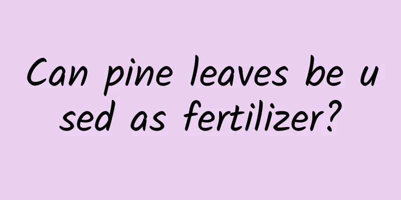 Can pine leaves be used as fertilizer?