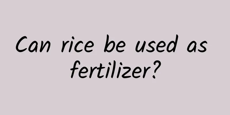 Can rice be used as fertilizer?