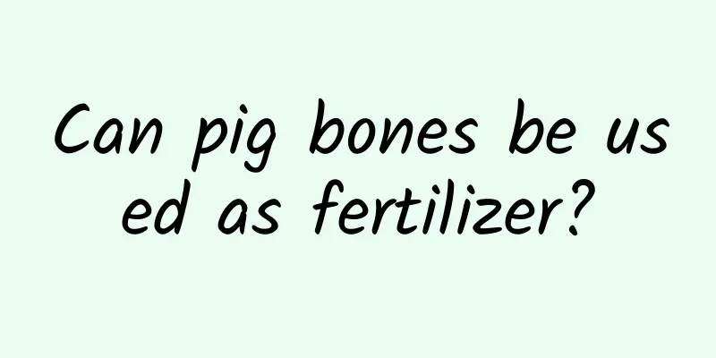 Can pig bones be used as fertilizer?