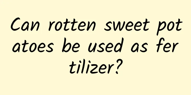 Can rotten sweet potatoes be used as fertilizer?