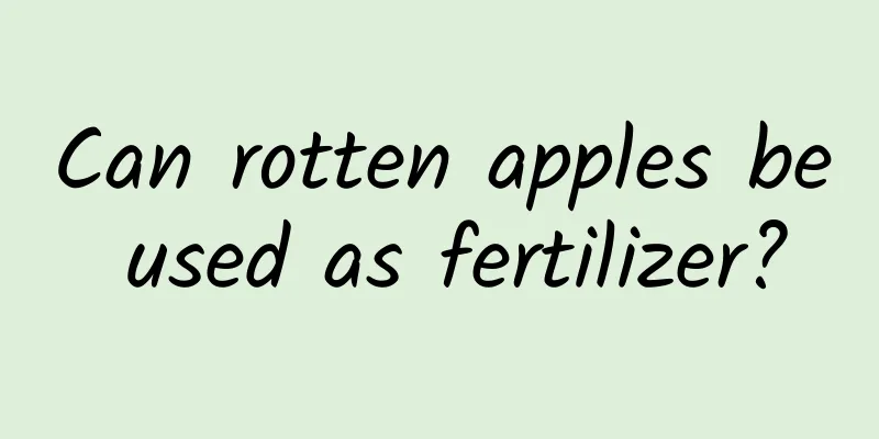 Can rotten apples be used as fertilizer?