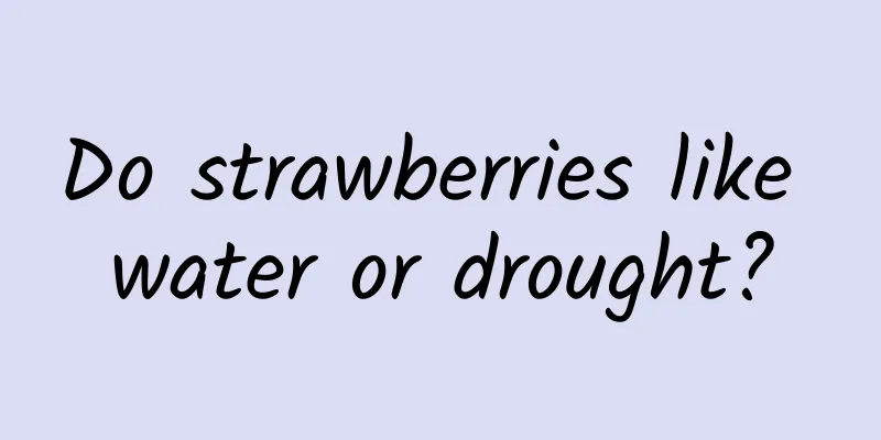 Do strawberries like water or drought?