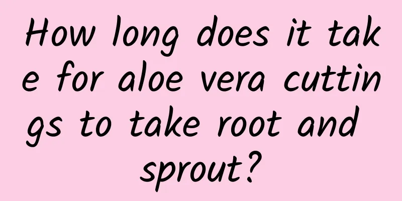 How long does it take for aloe vera cuttings to take root and sprout?