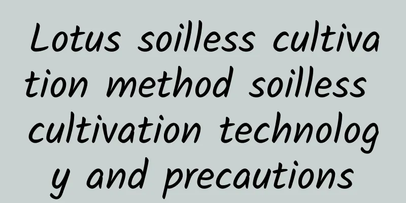 Lotus soilless cultivation method soilless cultivation technology and precautions