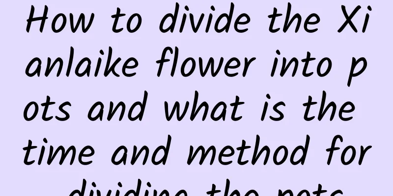 How to divide the Xianlaike flower into pots and what is the time and method for dividing the pots