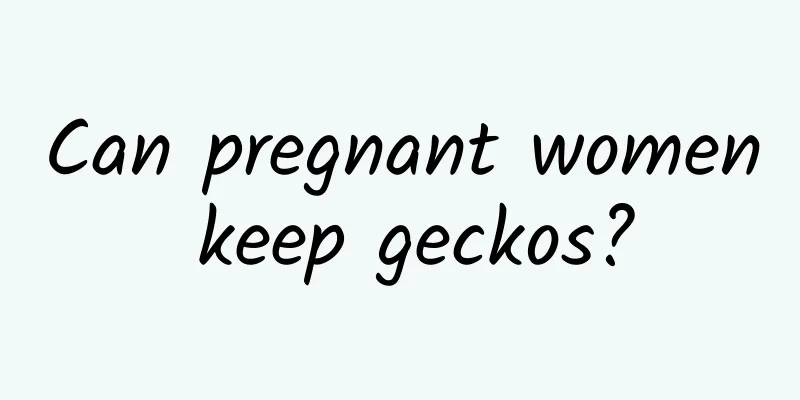 Can pregnant women keep geckos?