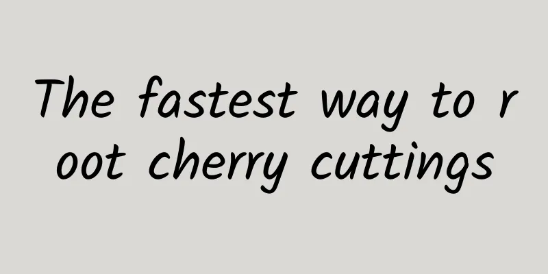 The fastest way to root cherry cuttings
