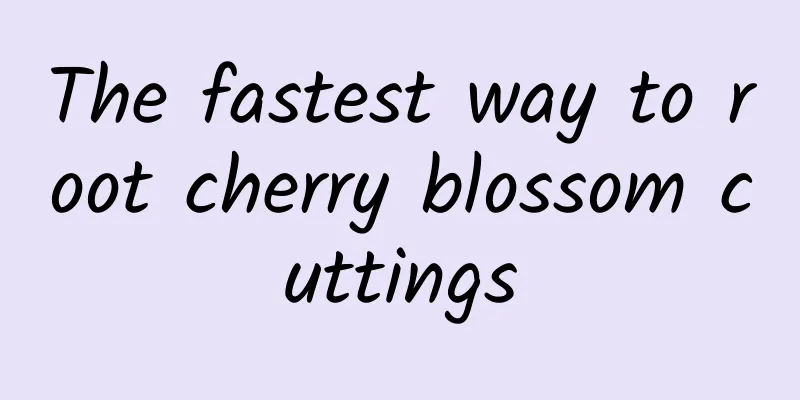 The fastest way to root cherry blossom cuttings