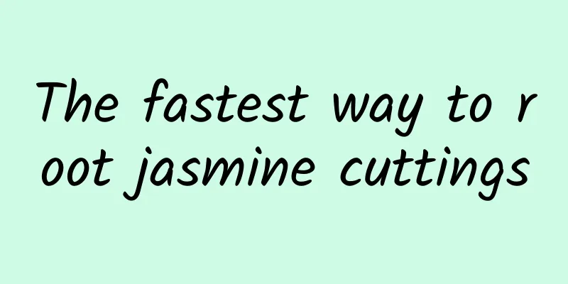 The fastest way to root jasmine cuttings