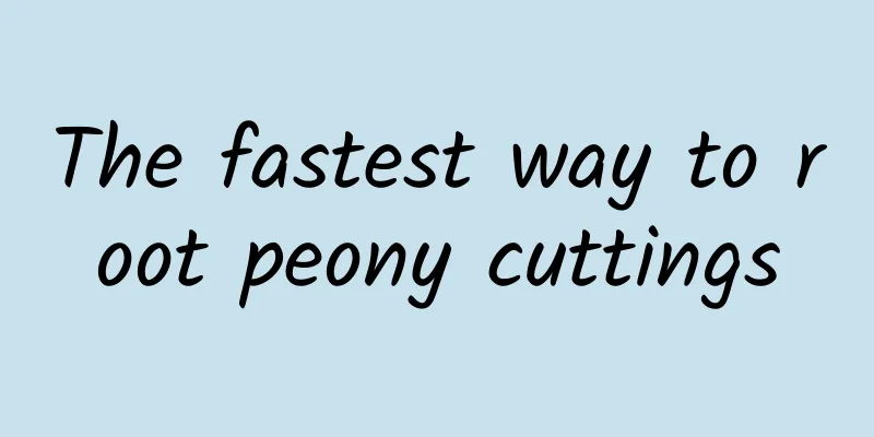 The fastest way to root peony cuttings