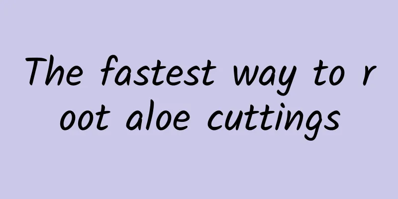 The fastest way to root aloe cuttings