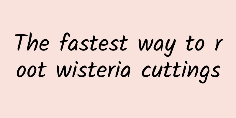 The fastest way to root wisteria cuttings