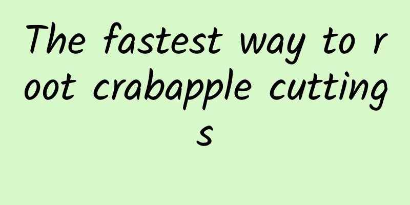 The fastest way to root crabapple cuttings