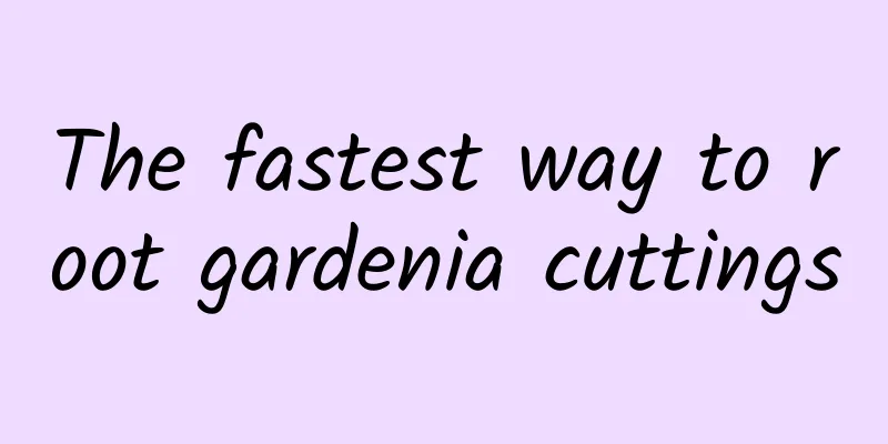The fastest way to root gardenia cuttings