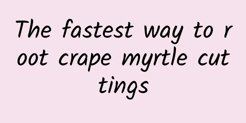 The fastest way to root crape myrtle cuttings