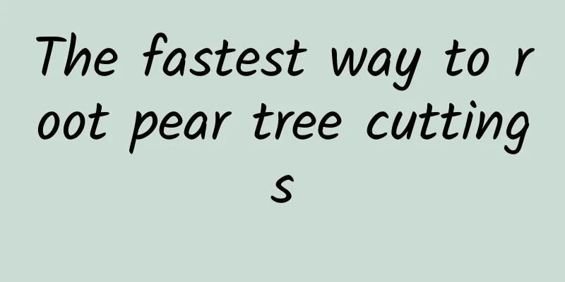 The fastest way to root pear tree cuttings