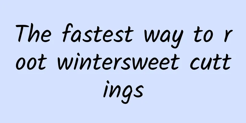 The fastest way to root wintersweet cuttings