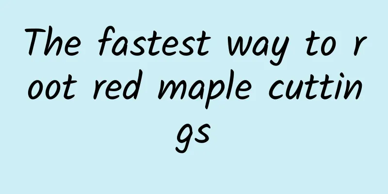 The fastest way to root red maple cuttings