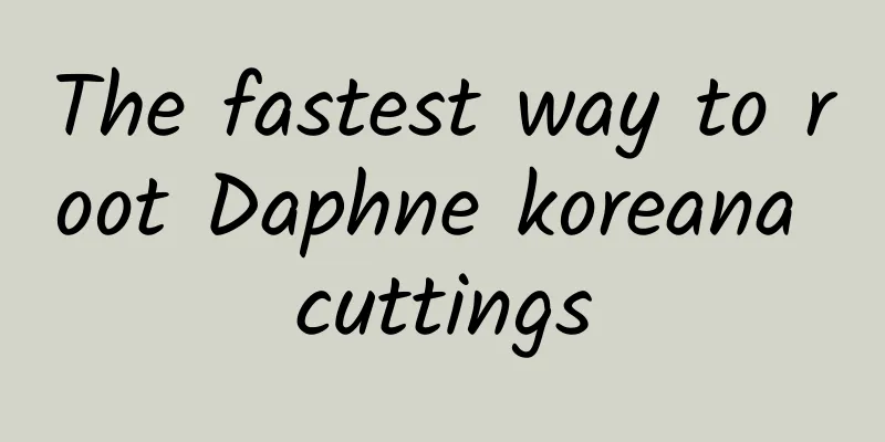 The fastest way to root Daphne koreana cuttings