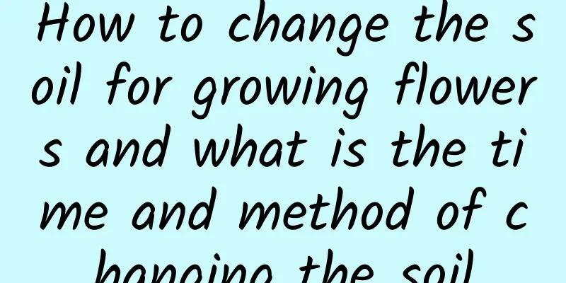How to change the soil for growing flowers and what is the time and method of changing the soil
