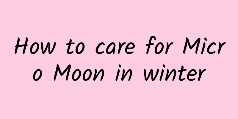 How to care for Micro Moon in winter