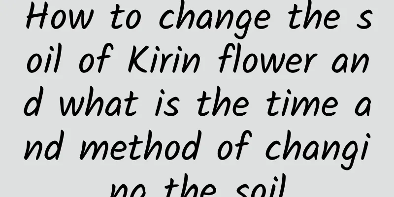 How to change the soil of Kirin flower and what is the time and method of changing the soil