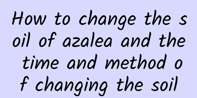How to change the soil of azalea and the time and method of changing the soil