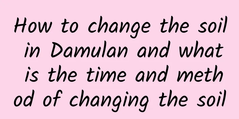 How to change the soil in Damulan and what is the time and method of changing the soil