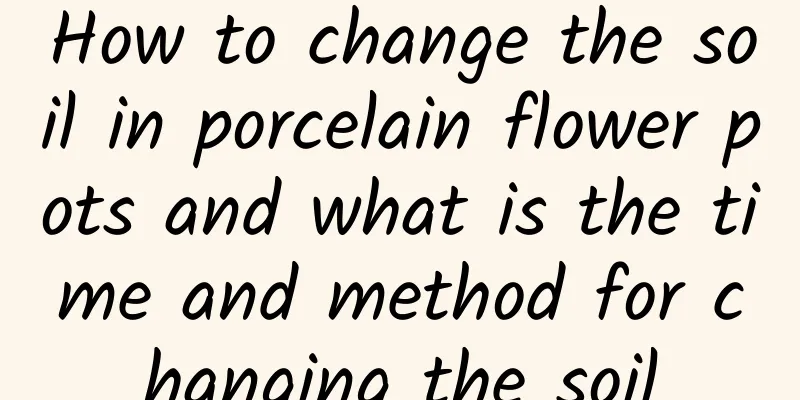 How to change the soil in porcelain flower pots and what is the time and method for changing the soil