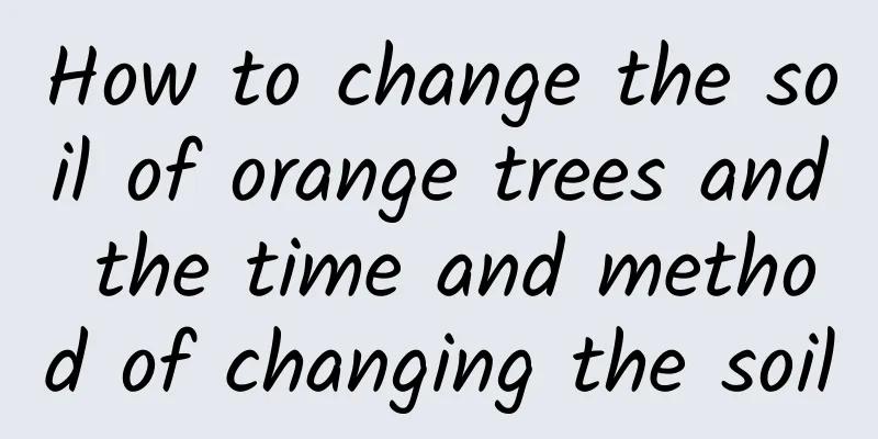 How to change the soil of orange trees and the time and method of changing the soil