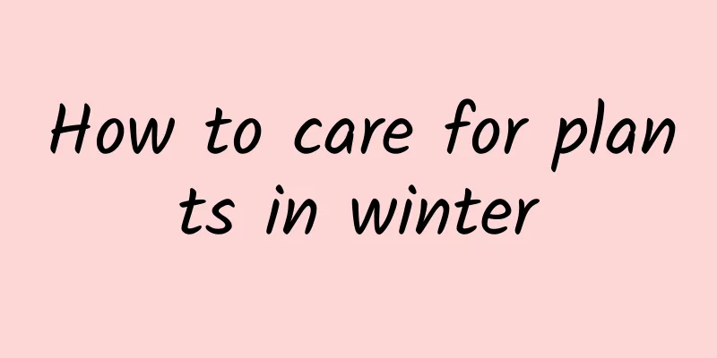 How to care for plants in winter